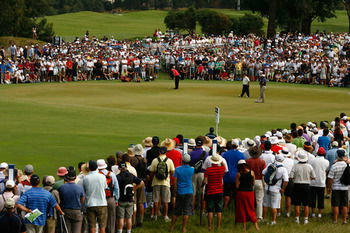 Best Western Plus Buckingham International - Hervey Bay Accommodation 45