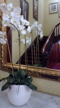 Claremont Guest House - Hervey Bay Accommodation 9