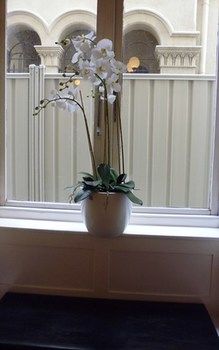 Claremont Guest House - Hervey Bay Accommodation 10