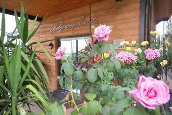 Balgownie Estate Vineyard & Spa - Hervey Bay Accommodation 2
