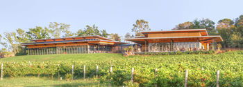 Balgownie Estate Vineyard & Spa - Hervey Bay Accommodation 5
