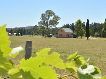 Madigan Wine Country Cottages - Tourism Hervey Bay 94