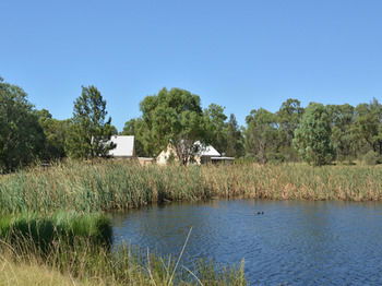 Madigan Wine Country Cottages - Tourism Hervey Bay 95