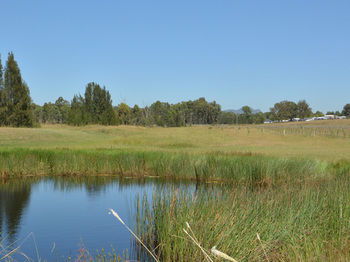Madigan Wine Country Cottages - Tourism Hervey Bay 97