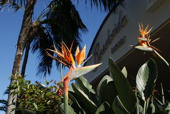 Beachside Resort - Kawana Waters - Hervey Bay Accommodation 4