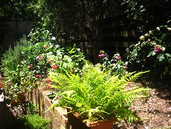 Bungunyah Apartments - Hervey Bay Accommodation 1