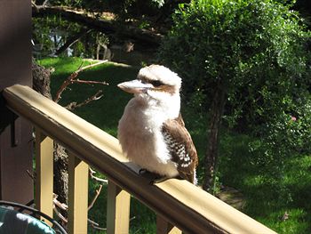 Bungunyah Apartments - Hervey Bay Accommodation 3