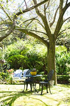 Adeline Bed And Breakfast - Hervey Bay Accommodation 7
