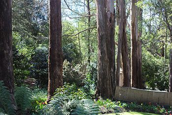 Adeline Bed And Breakfast - Hervey Bay Accommodation 8