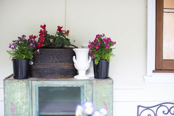 Adeline Bed And Breakfast - Hervey Bay Accommodation 22