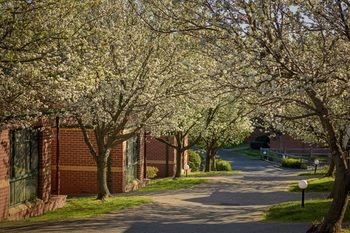 Apartments @ Mt Waverley - Tourism Hervey Bay 8