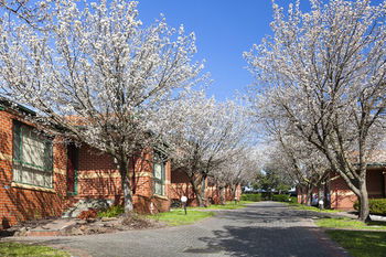 Apartments @ Mt Waverley - Tourism Hervey Bay 26