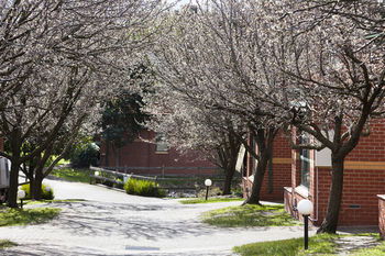 Apartments @ Mt Waverley - Tourism Hervey Bay 27