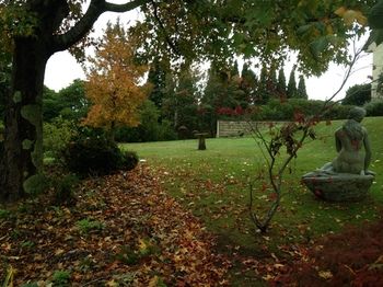 Silvermere - Hervey Bay Accommodation 10