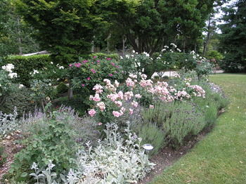 Silvermere - Hervey Bay Accommodation 33