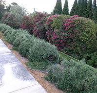 Silvermere - Hervey Bay Accommodation