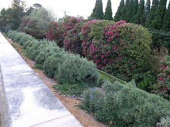 Silvermere - Hervey Bay Accommodation 0