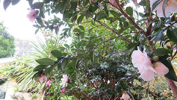 Waldorf Hornsby Residential Apartments - Tourism Hervey Bay 3