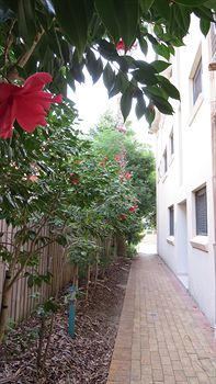 Waldorf Hornsby Residential Apartments - Tourism Hervey Bay 8