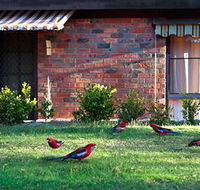 Crimson Villa - Hervey Bay Accommodation