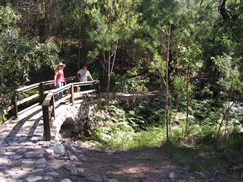 Glass House Mountains Ecolodge - Hervey Bay Accommodation 9