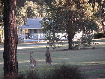 Cam-Way Estate - Hervey Bay Accommodation 3