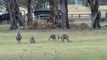 Cam-Way Estate - Hervey Bay Accommodation 23