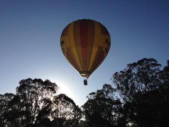 Cam-Way Estate - Hervey Bay Accommodation 25