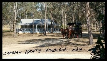 Cam-Way Estate - Hervey Bay Accommodation 31