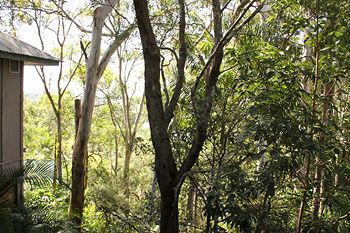 Arabella Guesthouse - Hervey Bay Accommodation 18