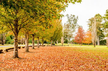 Retreat At Wisemans - Hervey Bay Accommodation 12