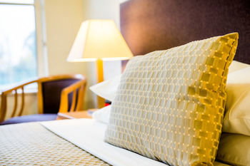 Retreat At Wisemans - Hervey Bay Accommodation 13