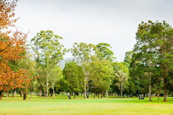 Retreat At Wisemans - Hervey Bay Accommodation 17