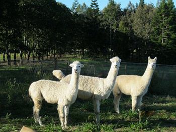 Beerwah QLD Hervey Bay Accommodation