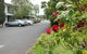 Ringwood Motel - thumb 13