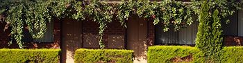 Nunawading Motor Inn - Hervey Bay Accommodation 30