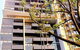 Guilfoyle Apartments - thumb 8
