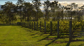 H Boutique Hotel - Tourism Hervey Bay 34