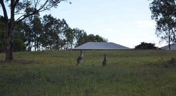 H Boutique Hotel - Tourism Hervey Bay 40