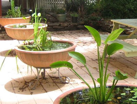 Sinclairs Of Burwood Bed And Breakfast - Hervey Bay Accommodation 4