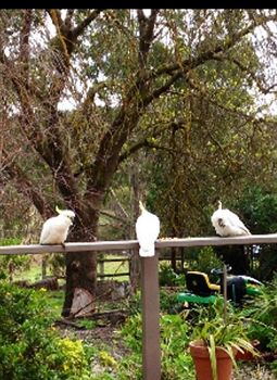 Wonga Park VIC Hervey Bay Accommodation