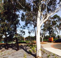 Box Hill Studios at Canterbury Gardens - Hervey Bay Accommodation