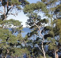The Edgewater Bed amp Breakfast - Hervey Bay Accommodation