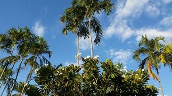 Ibis Styles Katherine - Hervey Bay Accommodation 17