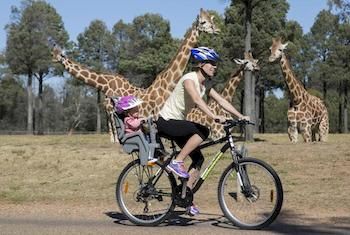 Zoofari Lodge, Taronga Western Plains Zoo - Hervey Bay Accommodation 7