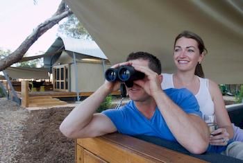 Zoofari Lodge, Taronga Western Plains Zoo - Hervey Bay Accommodation 12