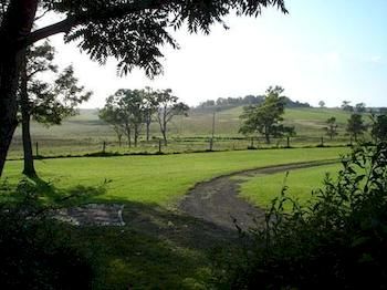 Lochinvar House B&B - Hervey Bay Accommodation 8