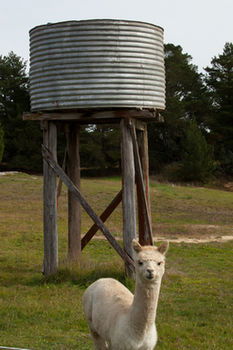 Seclusions Blue Mountains - Hervey Bay Accommodation 6