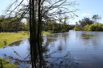Riverglade Caravan Park - Hervey Bay Accommodation 11