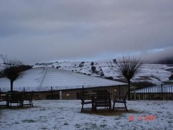 Bowen Inn Motel - Tourism Hervey Bay 0